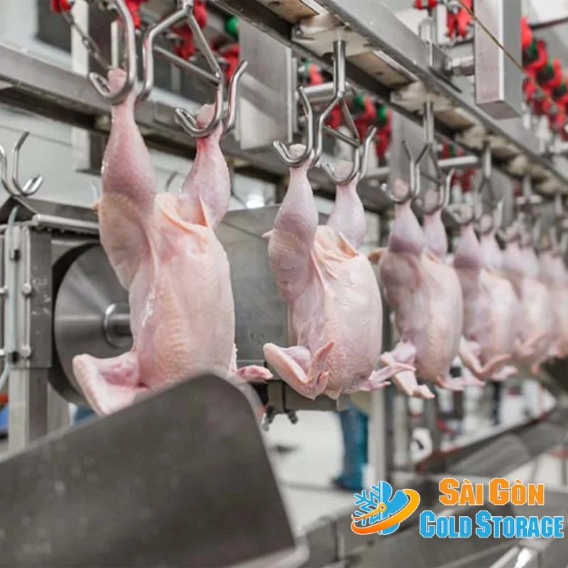 thuê kho lạnh