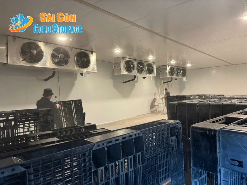Nhà máy sản xuất bánh xuất khẩu Nhật Bản tại Hóc Môn 