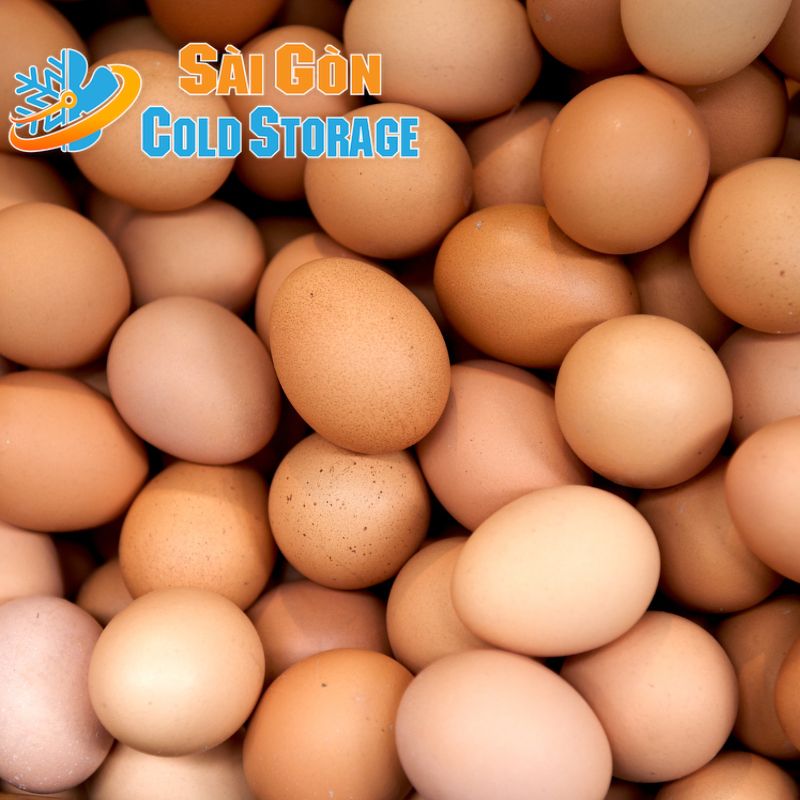 kho lạnh bảo quản trứng