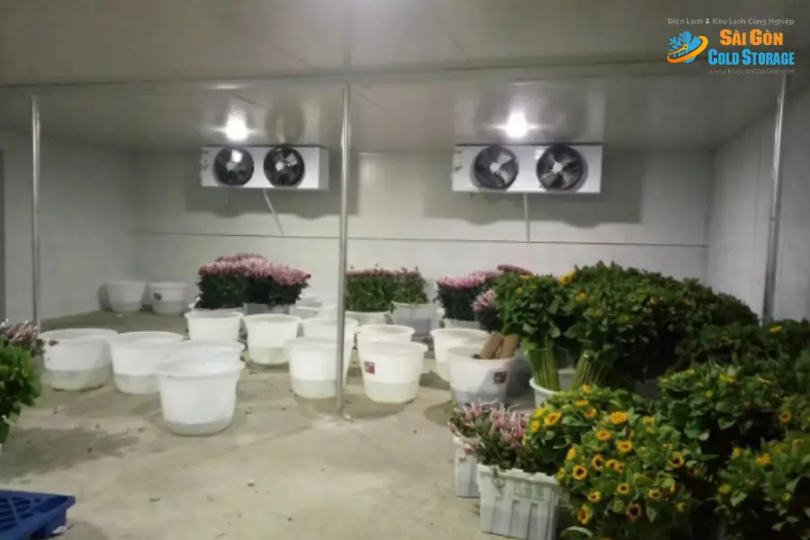 [Hướng dẫn] Cách bảo quản hoa tươi trong kho lạnh 