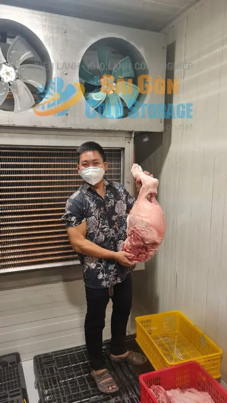 Kho cấp đông thịt heo 40Hp 45m3 tại công ty An Thịnh Foods quận 10
